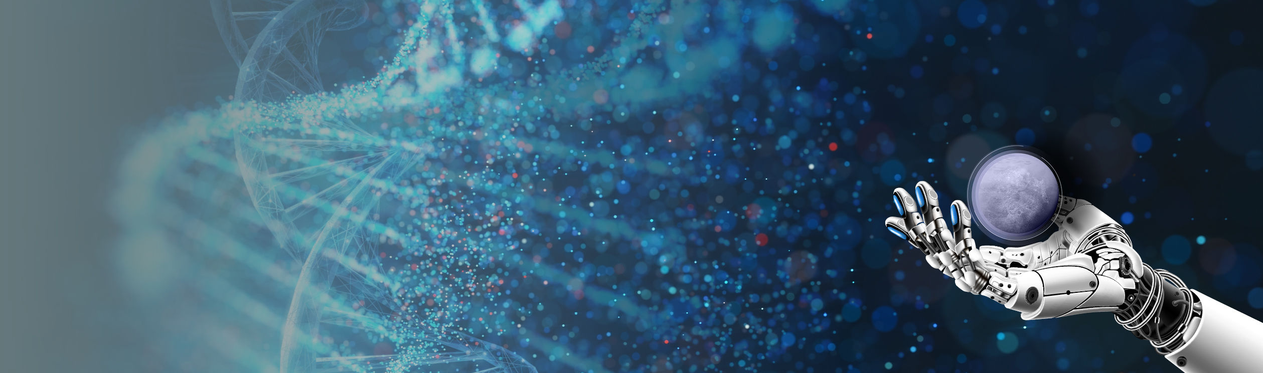 Header Image
