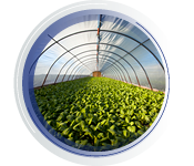 FOOD & ENVIRONMENT