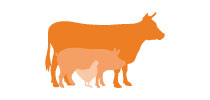 Agrigenomics