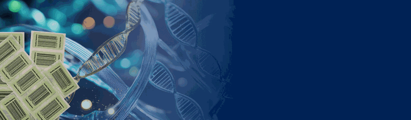 banner_0