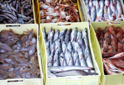 fresh_fish_Market-178